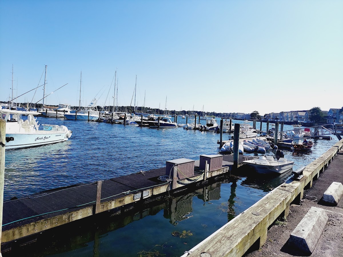 Marina Café & Pub Photos 2